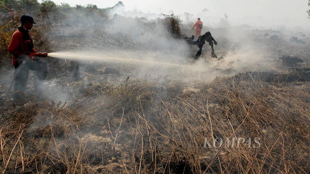 Kebakaran meluas hingga lebih dari 50 hektar di wilayah Kumpeh Ulu, Kabupaten Muaro Jambi, Jambi, Minggu (4/8/2019). Bara api yang muncul sepekan terakhir diperkirakan merambat jauh di balik permukaan gambut sehingga sulit dikendalikan.
