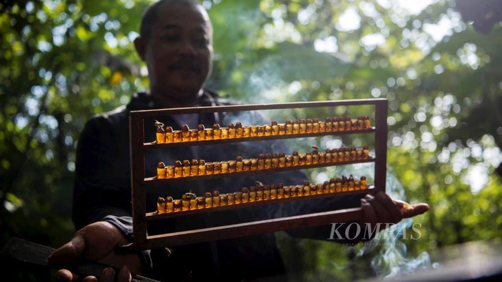 Jamii (49) memeriksa perolehan madu dari lebah madu jenis <i>Apis melifera</i> di kawasan hutan Desa Gunungsari, Wonosegoro, Boyolali, Jawa Tengah, Senin (11/2/2019). Meski selama musim hujan produksi madu dari lebah tersebut turun drastis, perawatan terus dilakukan untuk menjaga keberlangsungan hidup lebah.