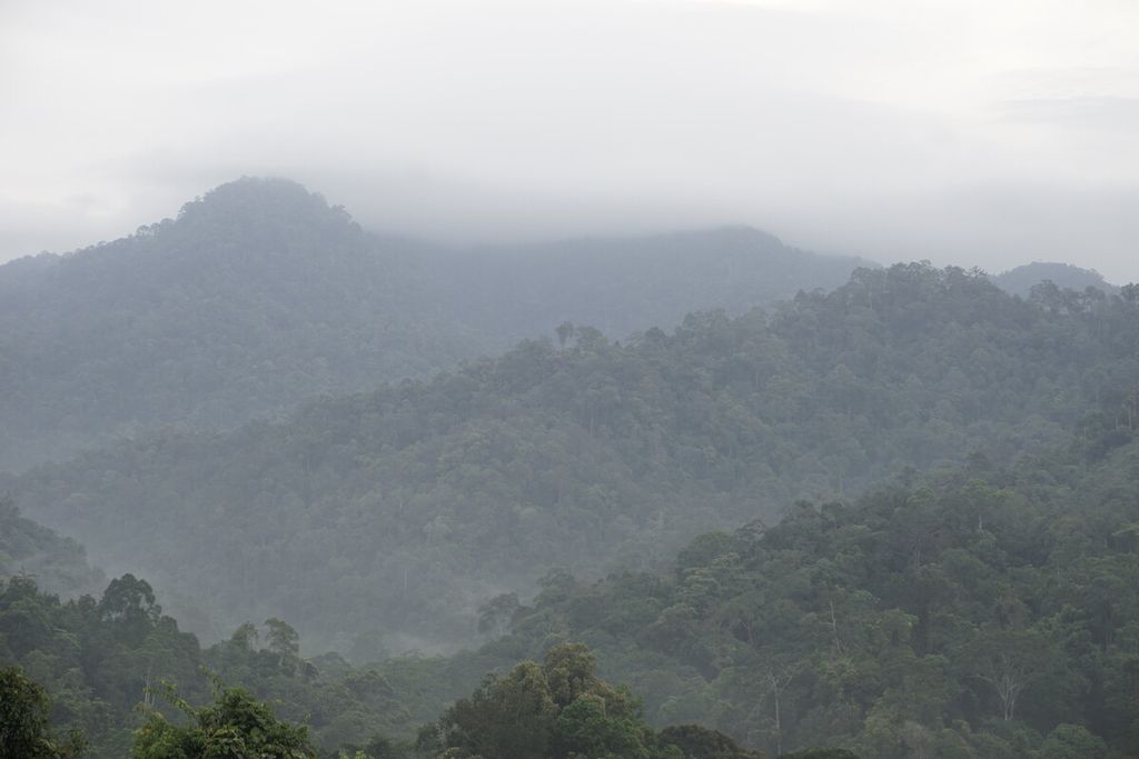 Pemandangan Gunung Lumut dilihat dari permukiman suku Dayak Paser Mului di Desa Swan Slotung, Kecamatan Muara Komam, Kabupaten Paser, Kalimantan Timur, Sabtu (13/3/2021). Sebagian gunung ini merupakan wilayah adat Dayak Paser Mului yang dijaga demi kebutuhan air dan sumber makanan.