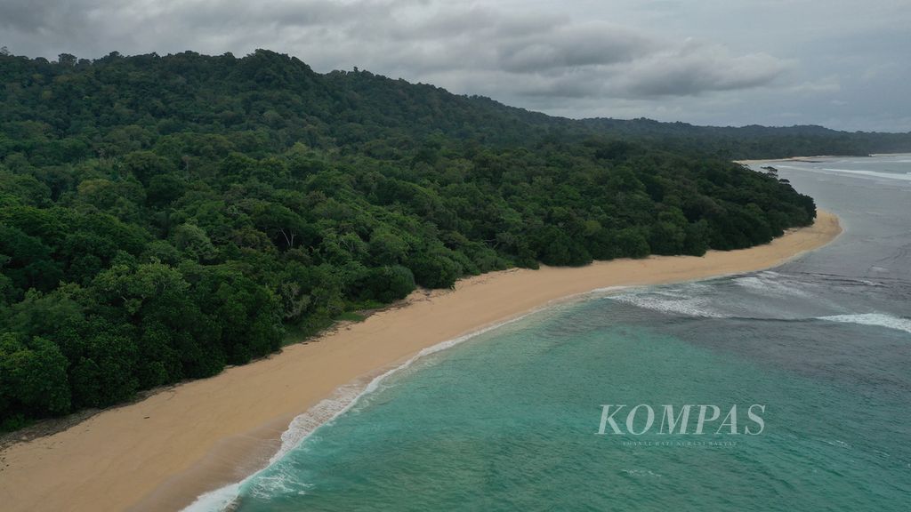 Pantai alami di sepanjang garis pantai Taman Nasional Alas Purwo, Banyuwangi, Jawa Timur, Kamis (26/5/2022). Berdasarkan penelitian, dipercaya bahwa sudut tenggara Pulau Jawa (Semenanjung Blambangan) atau yang sekarang dikenal dengan Plengkung itu pernah dijadikan tempat pendaratan pertama masyarakat Austronesia pada tahun 3500 SM. 