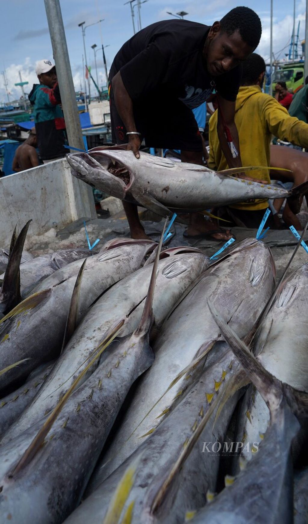 Buruh nelayan mengangkat tuna hasil tangkapan untuk dipasok ke pabrik pengolahan di Pasar Ikan Jembatan Puri, Kota Sorong, Papua Barat Daya, Jumat (9/6/2023). 