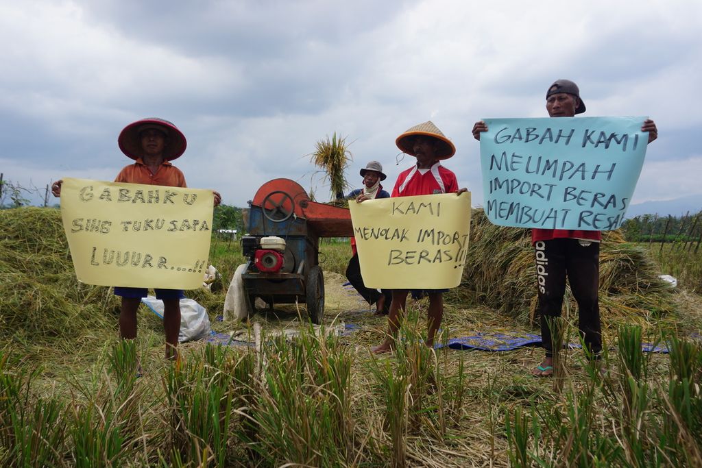 Para petani berharap pemerintah tidak mengimpor beras dan memprioritaskan penyerapan beras petani di Desa Brobot, Purbalingga, Jawa Tengah, Selasa (23/3/2021).