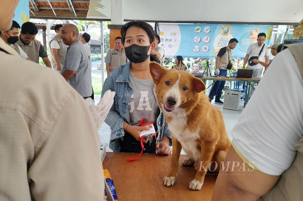 The Bali Provincial Agriculture and Food Security Agency, along with several organizations and institutions tasked with handling rabies, held a mass rabies vaccination event on Saturday (7/10/2023) in 10 locations throughout Bali. Rabies remains an endemic zoonotic disease in several regions of Indonesia, including Bali.