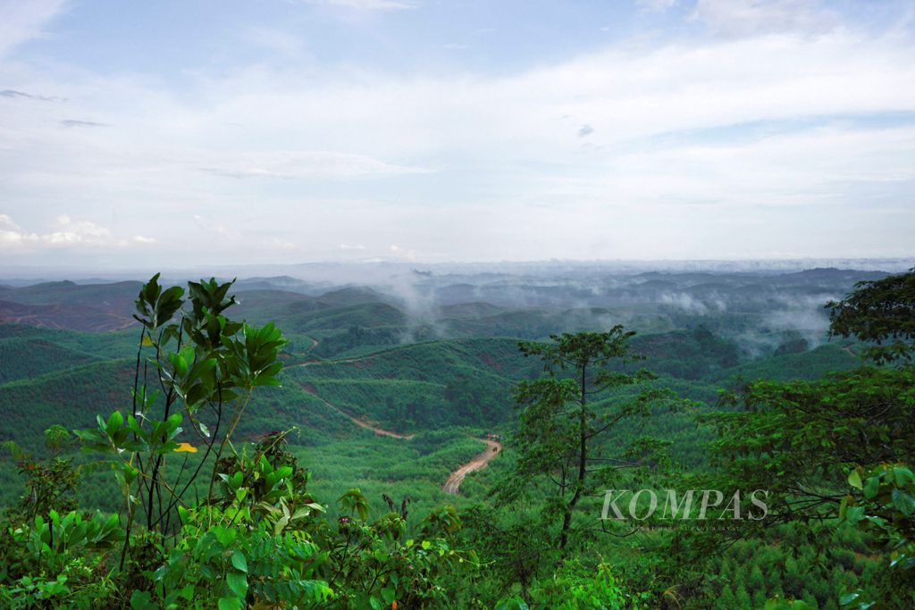 Pemandangan kawasan hutan industri PT ITCI Hutani Manunggal yang menjadi calon lokasi ibu kota negara baru di Kecamatan Sepaku, Penajam Paser Utara, Kalimantan Timur, Rabu (18/12/2019).