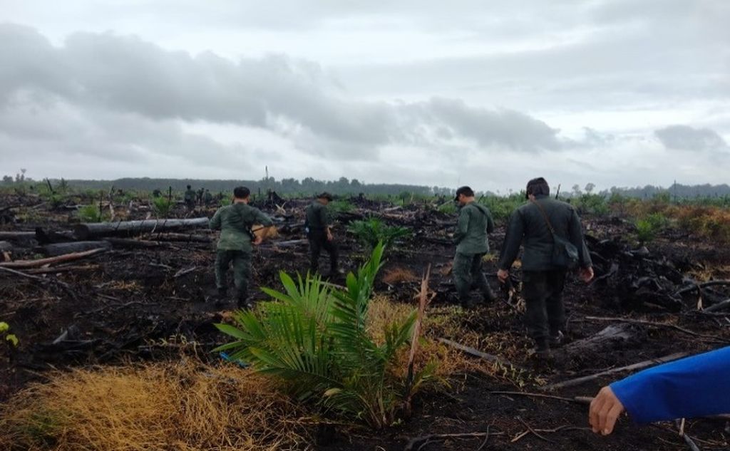 Lokasi kawasan hutan produksi yang dapat dikonversi (HPK) yang dibuka oleh pelaku EL (66) dan MD (30) untuk perkebunan sawit di Kecamatan Basa Ampek Balai Tapan, Kabupaten Pesisir Selatan, Sumatera Barat, Rabu (22/5/2024).