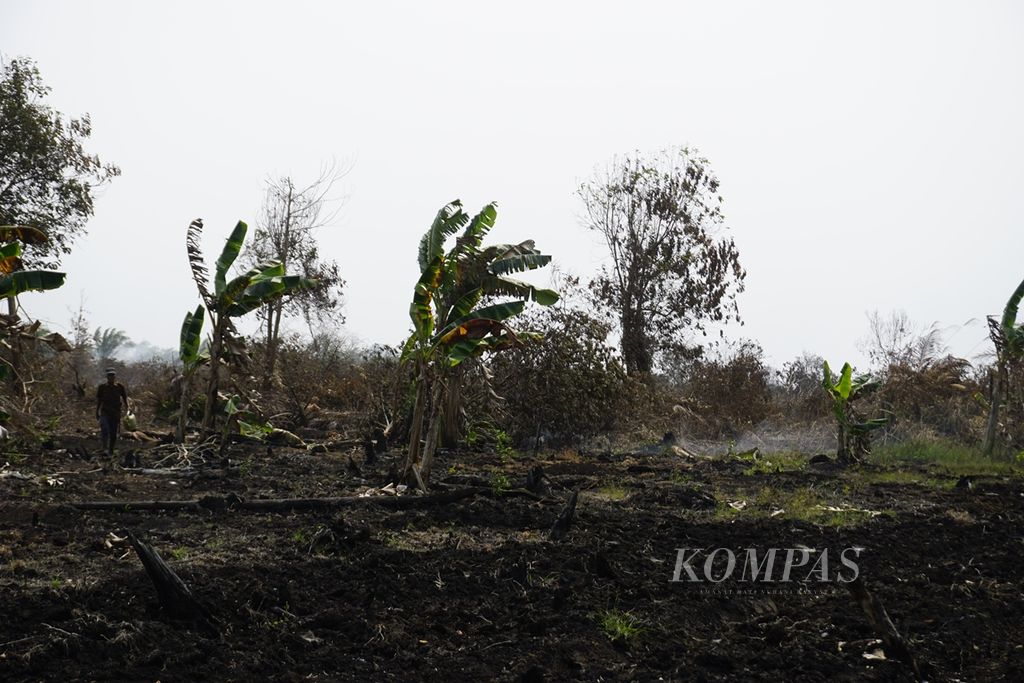 Kebakaran hutan dan lahan terjadi di perbatasan Kelurahan Petung dan Desa Giripurwa, Kecamatan Penajam, Kabupaten Penajam Paser Utara, Kalimantan Timur, pada September 2019.