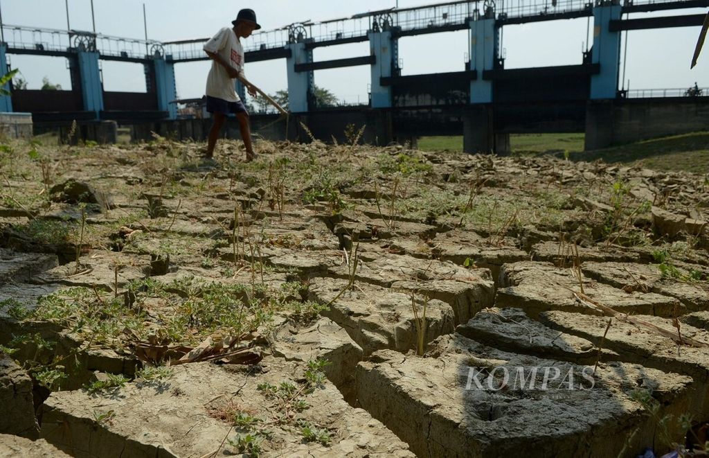 Warga mengolah lahan tanah sedimentasi di sekitar Bendungan Wilalung yang mengering di Kecamatan Undaan, Kabupaten Kudus, Jawa Tengah, Agustus 2015. Dampak El Nino seperti ini diprediksi akan kembali terjadi pertengahan tahun ini.