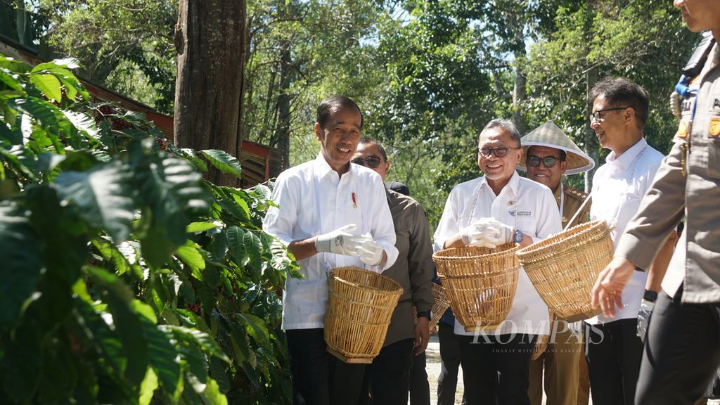 Presiden Joko Widodo meninjau perkebunan kopi di Desa Kembahang, Kecamatan Batubrak, Kabupaten Lampung Barat, Lampung, Jumat (12/7/2024).