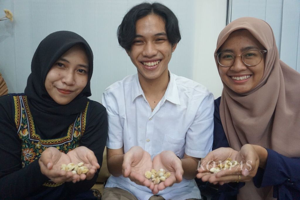 Mahasiswa Unsoed, Nisrina Khoirunnisa Salsabila (22), Sidik Prasetyo (19), dan Gina Rodatul J (22), menunjukkan BESt Balls dari tongkol jagung sebagai pengganti <i>styrofoam </i>dan plastik <i>wrap bubble </i>di Purwokerto, Banyumas, Jawa Tengah, Senin (27/3/2023).