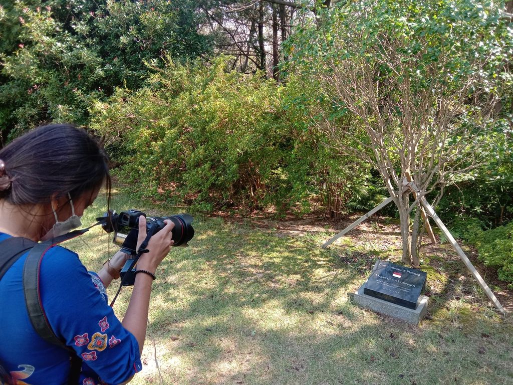 Tanaman pertama yang ditanam Presiden Ke-5 RI Megawati Soekarnoputri pada 2013, di Taman Megawati, Jeju, Korea Selatan, Rabu (14/9/2022).