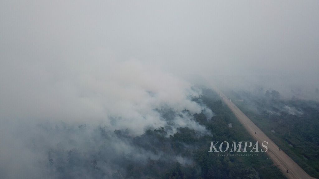 Lahan gambut yang sebagian ditanami sawit di Kecamatan Pangkalan Kerinci, Kabupaten Pelalawan, Riau, terbakar, Kamis (19/9/2019). Kebakaran di lahan gambut tersebut susah dipadamkan. Asap dari kebakaran ini menyebar ke sejumlah daerah, seperti Pekanbaru dan sekitarnya.