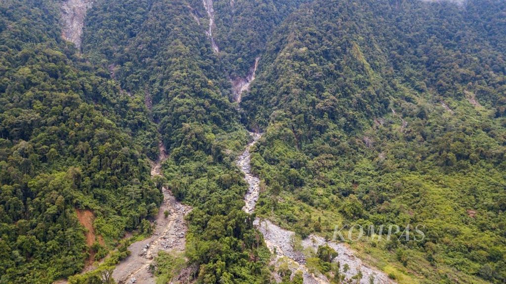 Kondisi lereng Gunung Cycloop di Sentani, Papua, Jumat (22/3/2019). Kondisi lereng dan kaki gunung banyak pohon ditebang dan beralih menjadi kebun. Jalur-jalur longsor yang ada di lereng gunung berpotensi memunculkan jalur longsoran baru.