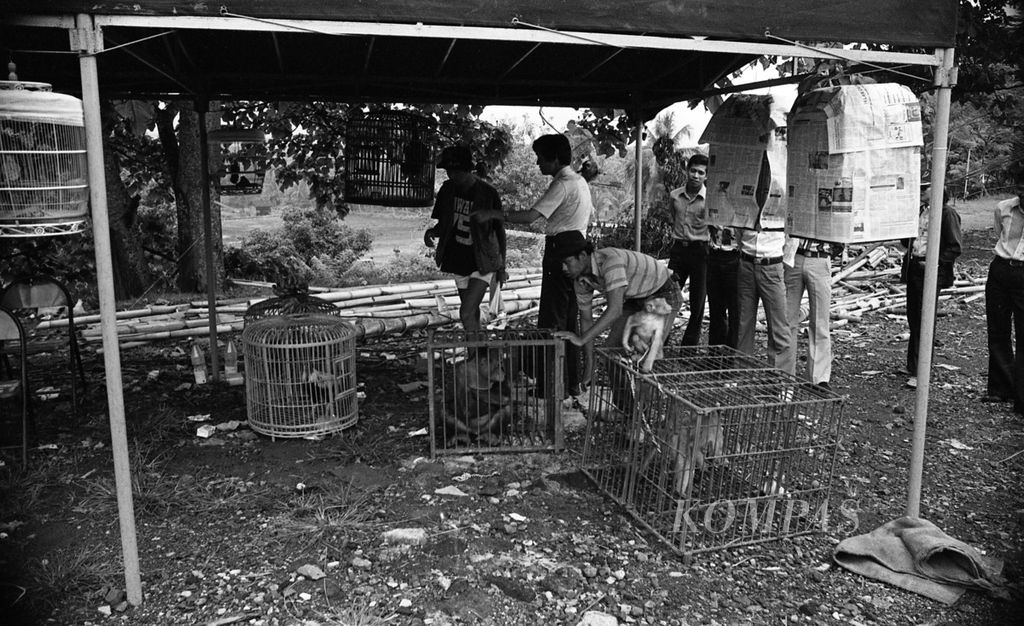 Peneliti dari Jepang dan Indonesia mengamati pengaruh gerhana matahari total terhadap perilaku binatang saat terjadi gerhana matahari total 11 Juni 1983. Observasi ini dilakukan di kawasan Candi Borobudur, Jawa Tengah. 