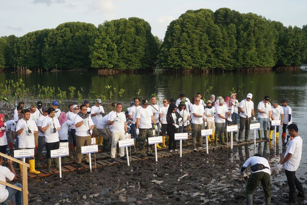Karyawan PT Pupuk Kalimantan Timur menunjukkan bibit mangrove yang akan ditanam di Wisata Mangrove Teluk Bangko, Kelurahan Loktuan, Kecamatan Bontang Utara, Kota Bontang, Kalimantan Timur, Minggu (23/7/2023).