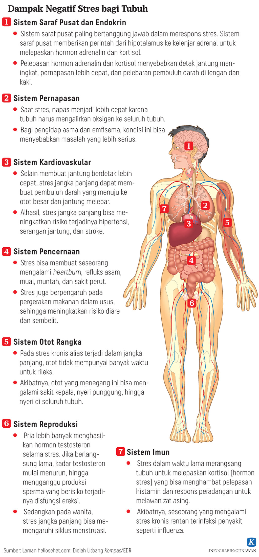 https://cdn-assetd.kompas.id/Vdj85qld7mIJTieMkIUf66rzapM=/1024x2200/https%3A%2F%2Fasset.kgnewsroom.com%2Fphoto%2Fpre%2F2021%2F04%2F12%2F20210412-GKT-Dampak-Negatif-Stres-Bagi-Tubuh-mumed_1618217321_png.png