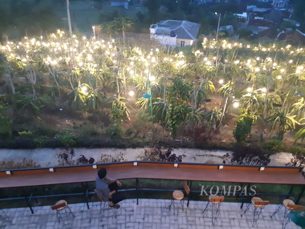 Deretan lampu menerangi tanaman buah naga di Kebun Naga Poernama di Desa Bayongbong, Kecamatan Bayongbong, Kabupaten Garut, Jawa Barat, Rabu (14/6/2023).
