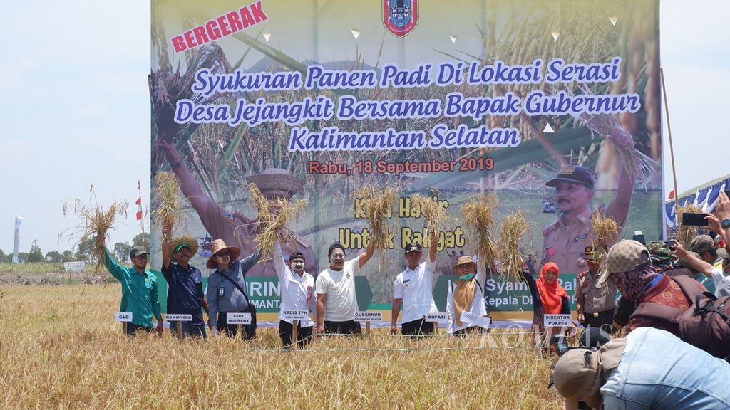 Kegiatan panen padi pada musim kemarau di Jejangkit, Barito Kuala, Kalimantan Selatan, Rabu (18/9/2019).