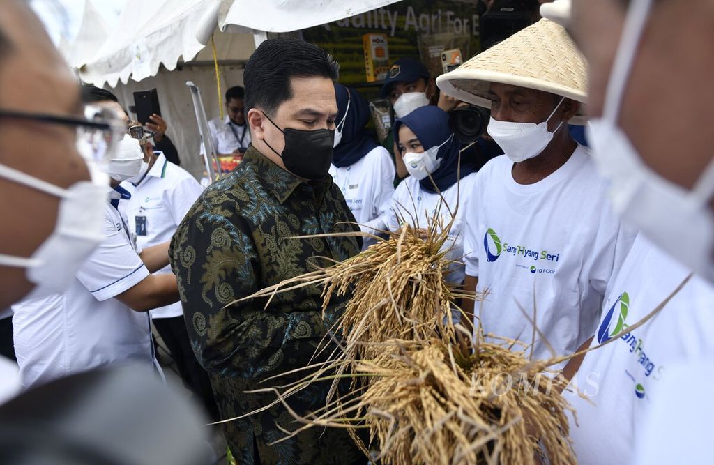 Menteri BUMN Erick Thohir melihat benih padi yang disediakan PT Sang Hyang Seri (Persero) salah satu perusahaan BUMN yang bergerak di bidang pertanian, khususnya dalam penyediaan benih saat peluncuran Holding BUMN Pangan Id Food di kawasan Kota Tua, Jakarta, Rabu (12/1/2022). 
