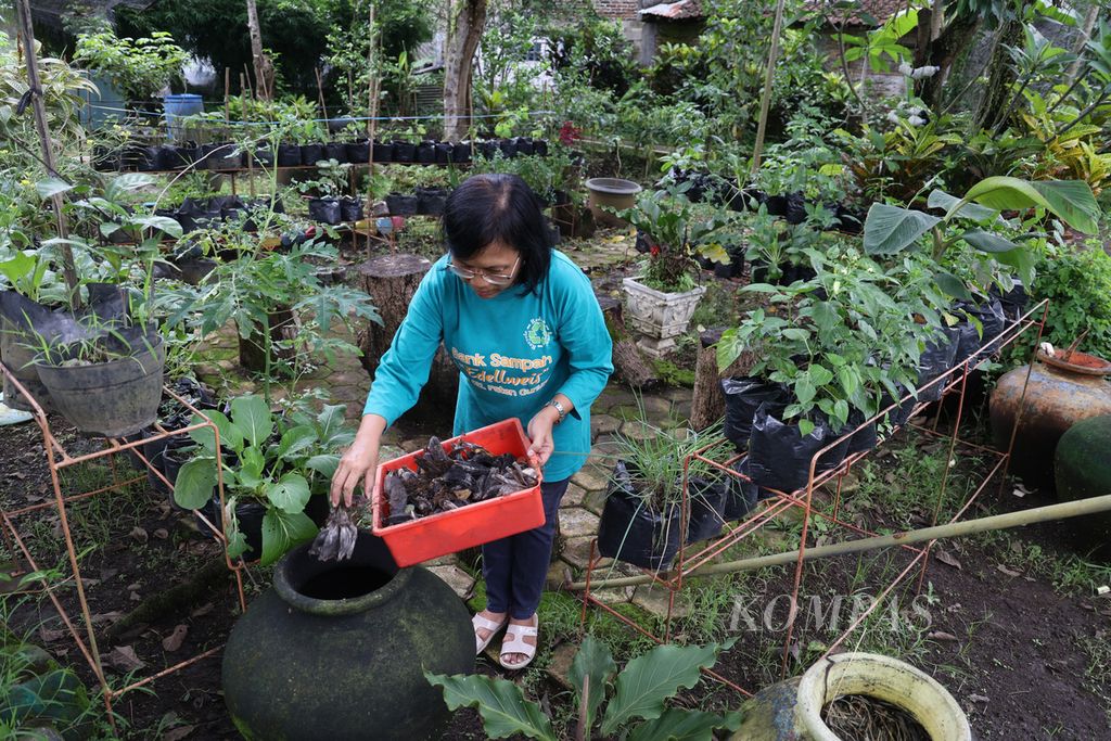 Pegiat Bank Sampah Edellweis mengolah sampah dari pisang untuk dijadikan kompos di kebun kampung organik Edellweis di Kelurahan Rejowinangun Selatan, Magelang Selatan, Kota Magelang, Jawa Tengah, Rabu (12/10/2022). 