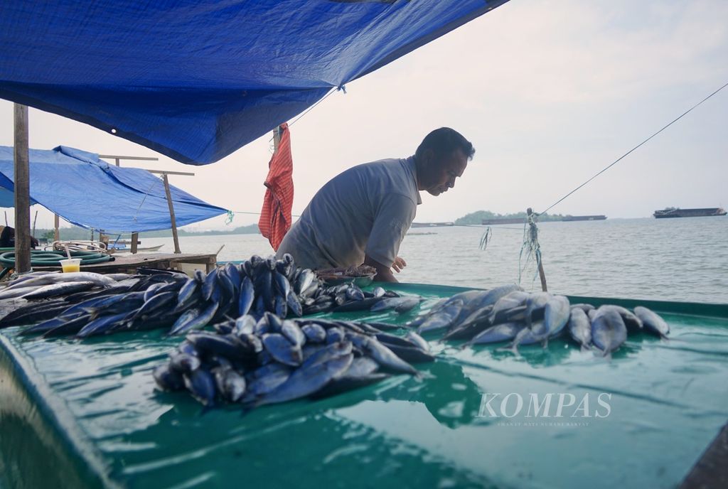 Pedagang ikan menjajakan jualan di pesisir Desa Bete-Bete, Bahodopi, Morowali, Sulawesi Tengah, Kamis (8/2/2024).