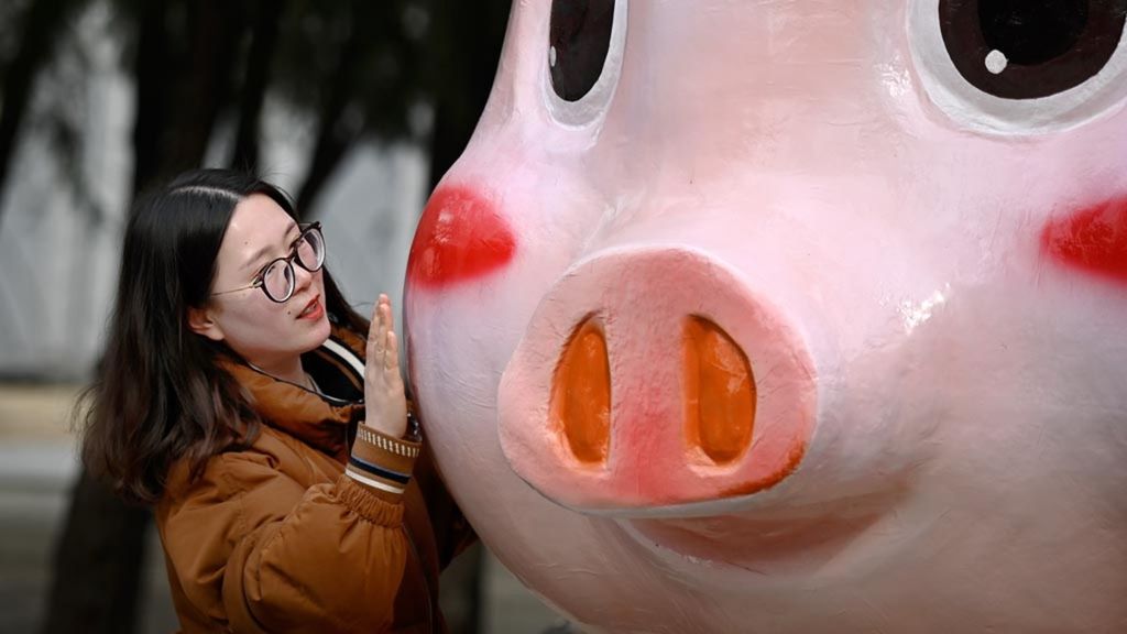 Seorang perempuan bersiap-siap untuk mengambil pose untuk difoto di dekat patung babi di sebuah taman menjelang Tahun Baru Imlek di Beijing, China, 2 Februari 2019. 