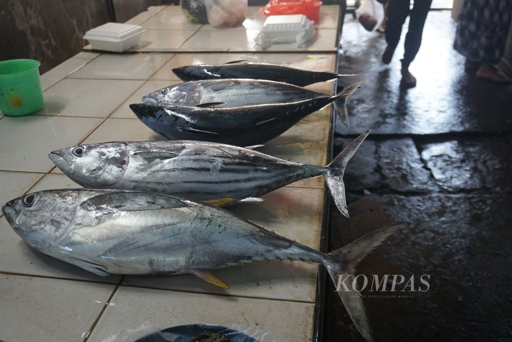 Ikan tuna dan cakalang dijual di Pasar Towoe, Tahuna, Kepulauan Sangihe, Sulawesi Utara, Senin (9/8/2021). Mayoritas warga Sangihe menggantungkan hidupnya pada perkebunan dan perikanan.