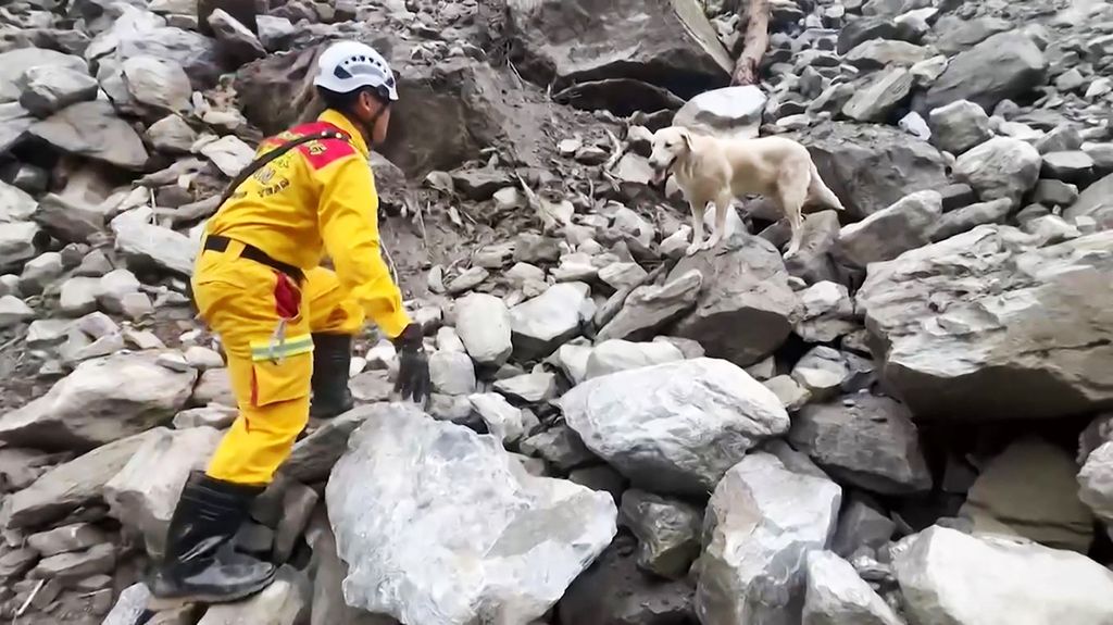 Tangkapan layar dari video saat Roger menemukan jenazah korban gempa pada 6 April 2024 dan dirilis oleh Departemen Pemadam Kebakaran Kota Hualien, Taiwan. 
