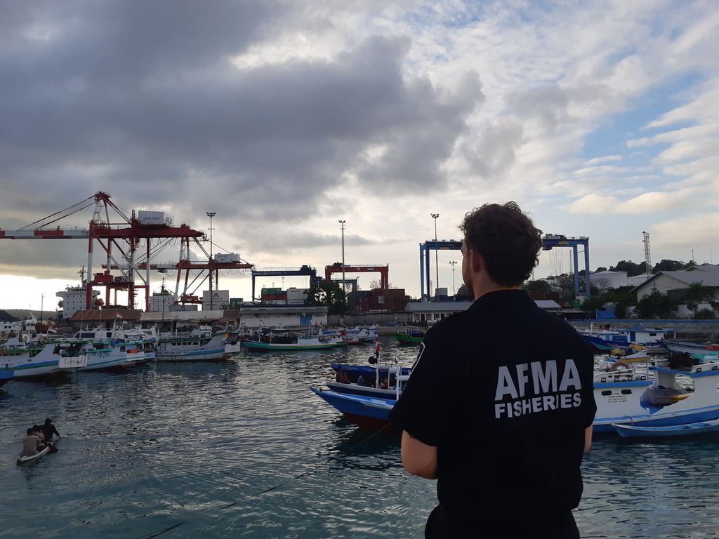 Seorang petugas perikanan dari Australia melihat perahu nelayan di Pelabuhan Pendaratan Ikan Tenau di Kota Kupang, Nusa Tenggara Timur, Selasa (27/6/2023).