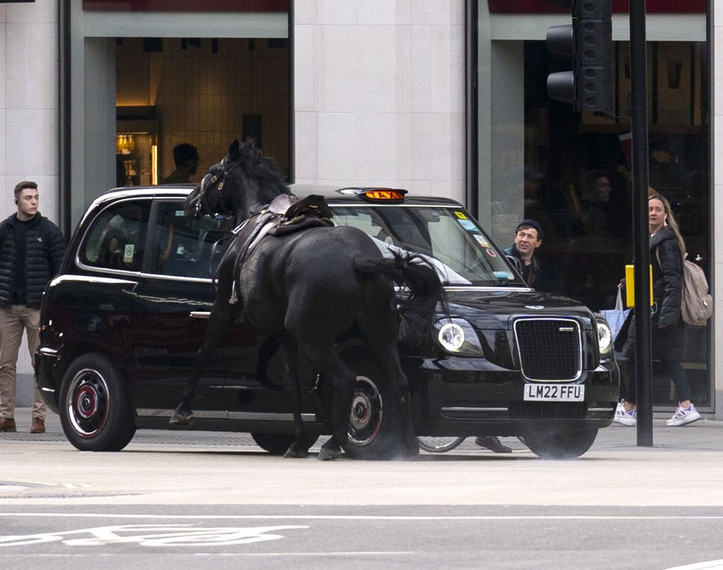 Seekor kuda menubruk sebuah taksi di London, Inggris, dalam insiden lepasnya kuda-kuda pasukan Unit Kavaleri Rumah Tangga Kerajaan Inggris, 24 April 2024. 