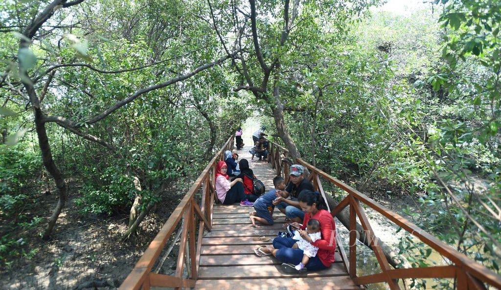 Warga menikmati kerindangan hutan mangrove di Kawasan Ekowisata Mangrove Gunung Anyar, Surabaya, Jawa Timur, Minggu (16/2/2020). Selain sebagai tempat wisata, kawasan yang masih dalam taraf pengembangan itu menjadi sarana edukasi masyarakat tentang ekosistem mangrove. Pemkot Surabaya kini sedang mengembangkan kebun raya mangrove di Wonorejo, Keputih, Sukolilo, dan Gunung Anyar dengan luas 46 hektar. 