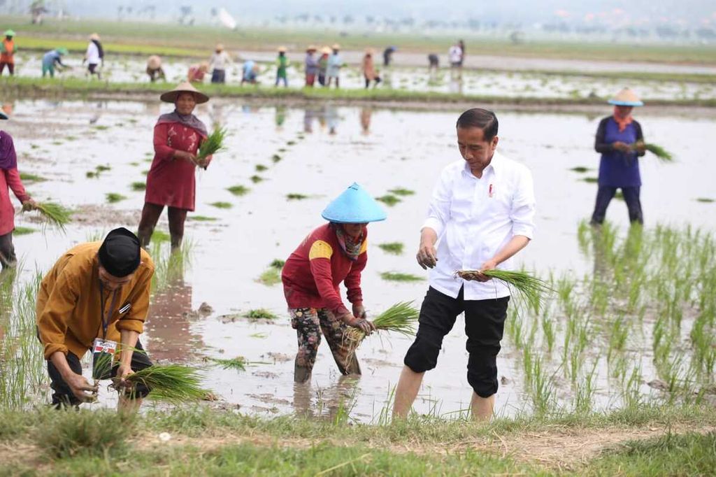 Presiden Joko Widodo menanam padi bersama petani di Tuban, Jawa Timur, Kamis (6/4/2023). Presiden mendorong pertanian organik untuk menekan biaya usaha tani, mengurangi pemakaian pupuk kimia, dan memperbaiki lingkungan.
