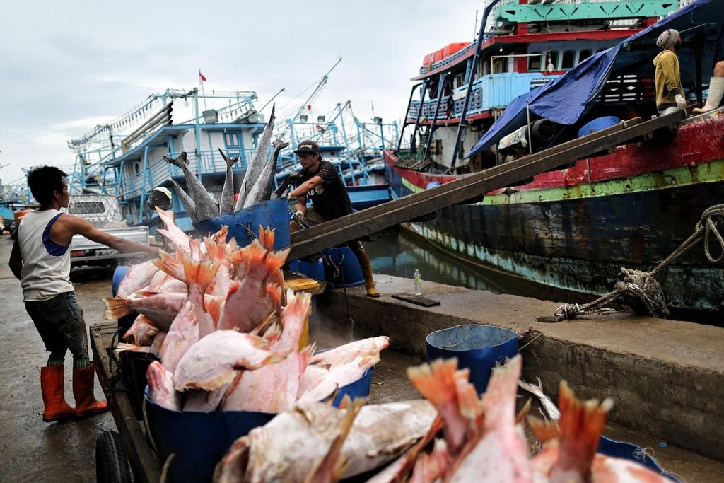 Buruh membongkar ikan hasil tangkapan dari Laut Arafura di Dermaga Pelabuhan Muara Angke, Jakarta, Selasa (1/3/2022). Mulai Maret 2022 Kementerian Kelautan dan Perikanan memberlakukan sistem kontrak penangkapan ikan untuk industri perikanan. Uji coba sistem kontrak ini diterapkan di Laut Arafura.