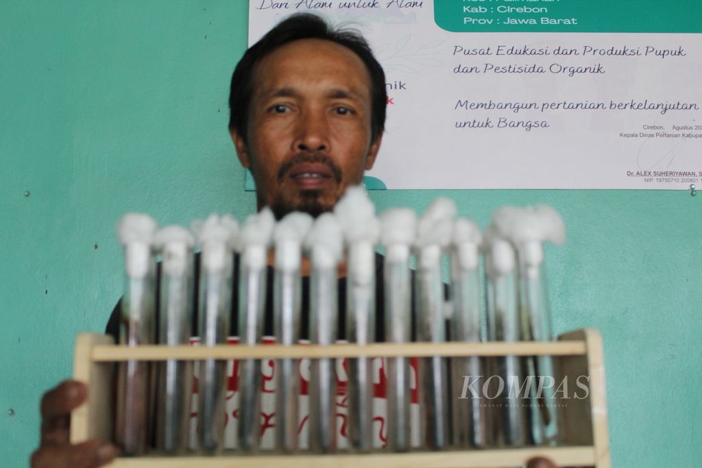 Rojai, a local farmer, shows a test tube containing microorganisms at the Biological Control Agent (APH) Laboratory in Tegalkarang Village, Palimanan District, Cirebon Regency, West Java, Wednesday (28/2/2024). In the laboratory, he developed microorganisms, such as <i>Trichoderma sp</i>, to control plant pests.
