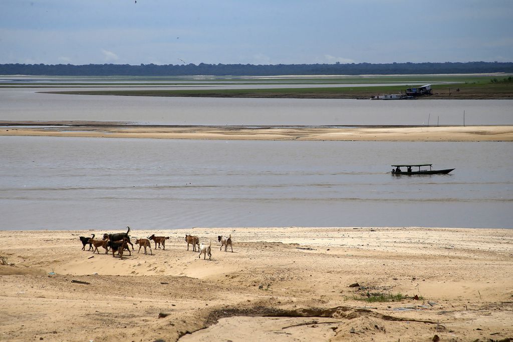 Area di Sungai SolimÃµes, Brasil, 19 Oktober 2022, bagian dari Sungai Amazon.
