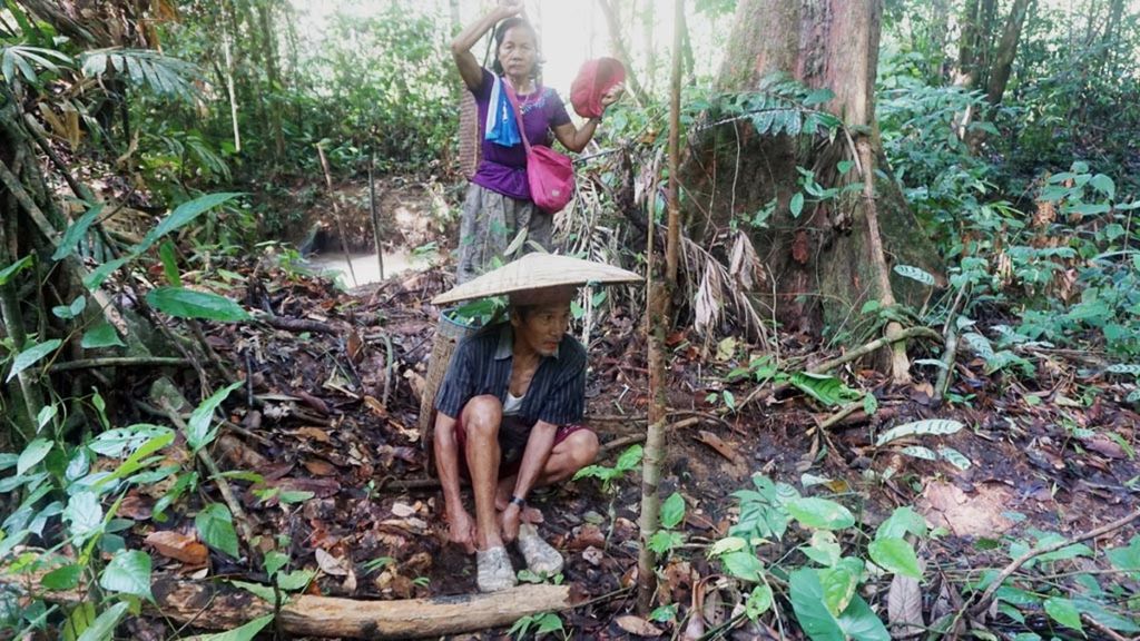 Warga suku Dayak di Laman Kinipan mengunjungi hutan yang dikeramatkan atau hutan pahewan untuk mengambil tanaman obat pada akhir Desember 2019.