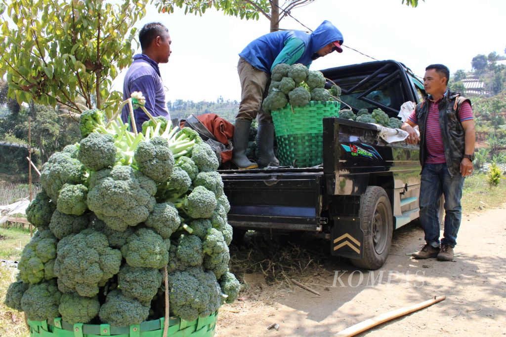 Internet desa permudah pemasaran komoditi pertanian lembang jawa barat
