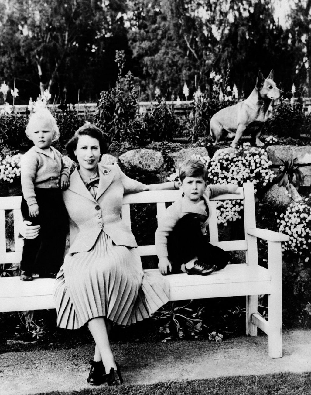 Foto tak bertanggal pada tahun 1954 menunjukkan Ratu Elizabeth II berpose bersama dua anaknya, Charles (kanan) dan Anne, serta anjing Corgi kesayangan keluarga di Puri Balmoral, Skotlandia. 