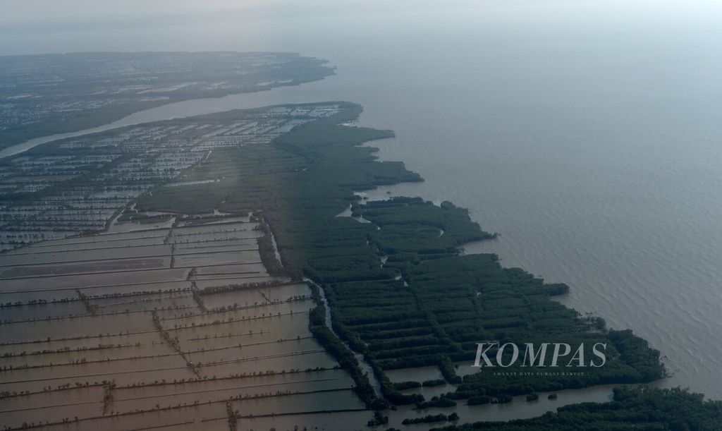 Kawasan hutan mangrove di pesisir Sidoarjo, Jawa Timur, Minggu (24/7/2022).