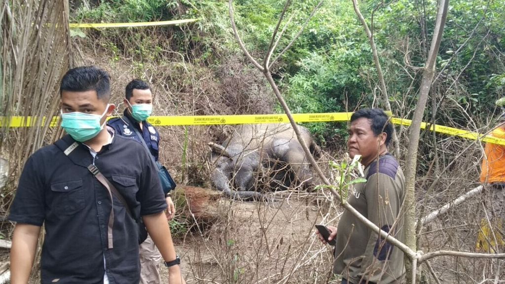 Bangkai gajah mati yang ditemukan di Desa Seumanah Jaya, Kecamatan Ranto Peureulak, Aceh Timur, Rabu (20/11/2019).