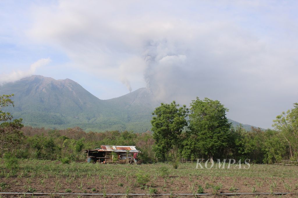 Erupsi Gunung Lewotobi Laki-laki tampak dari Desa Lewotobi, Kecamatan Ile Bura, Kabupaten Flores Timur, Nusa Tenggara Timur pada Minggu (7/1/2024). Erupsi sudah berlangsung lebih dari dua minggu.