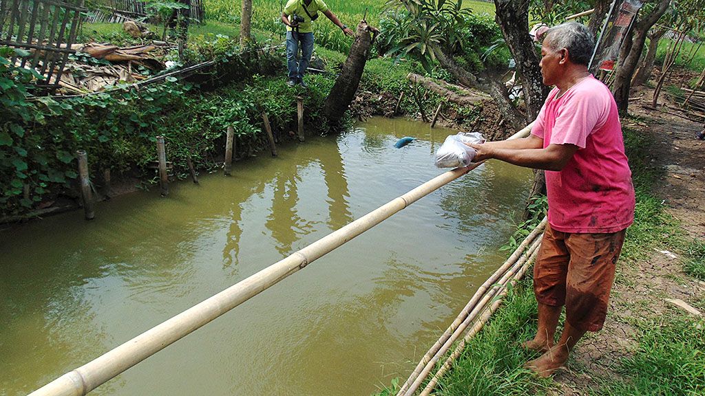Warga memberi makan ikan lele di kolam di Desa Pangauban, Kecamatan Lelea, Kabupaten Indramayu, Jawa Barat, Sabtu (25/2). Warga setempat dari berbagai profesi berupaya mandiri dengan beternak lele.