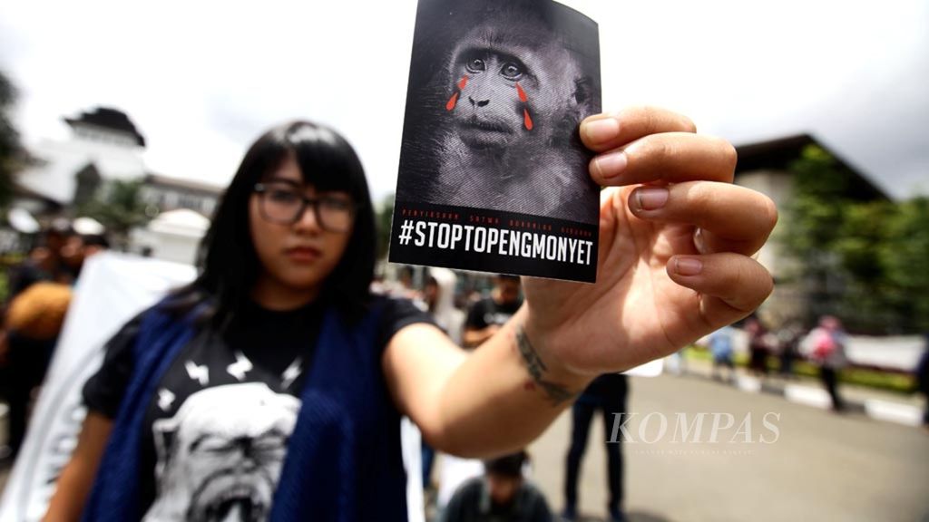 Warga dan aktivis dari Jakarta Animal Aid Network (JAAN) menggelar aksi dalam memperingati Hari Primata Nasional di depan Gedung Sate, Bandung, Jawa Barat, dengan tema Indonesia Bebas Topeng Monyet, Selasa (30/1). 