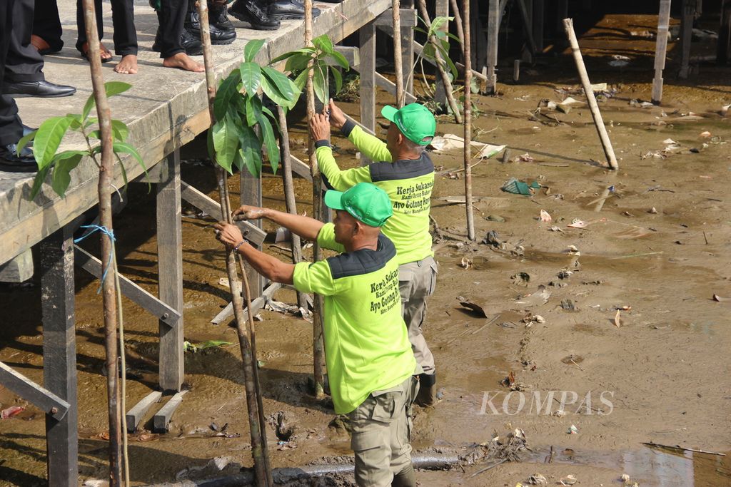 Penanaman pohon putat (<i>Planchonia valida</i>) dalam pembukaan Festival Kapuas di Kampung Wisata Caping, tepian Kapuas, Kota Pontianak, Kalimantan Barat, Jumat (2/6/2023).