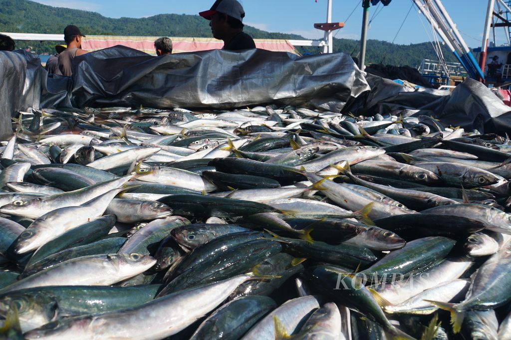 Ikan-ikan tangkapan dimuat dalam bak mobil pikap di Pelabuhan Perikanan Samudra Bitung, Sulawesi Utara, sebelum dibawa ke pabrik pengolahan ikan, Jumat (17/7/2020). Harga ikan tangkap turun hingga Rp 5.000 per kilogram akibat lesunya aktivitas pabrik pengalengan ikan di kota industri itu.
