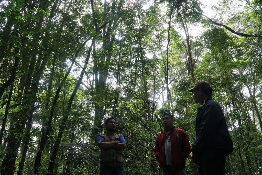 Koordinator Patroli dan Pengamanan Kawasan Hutan Lembaga Pengelola Hutan Nagari (LPHN) Sirukam Jasmir Jumadi (kiri) dan Ketua LPHN Sirukam Medison (kanan) berbincang dengan seorang pengunjung di Hutan Nagari Sirukam, Kecamatan Payung Sekaki, Kabupaten Solok, Sumatera Barat, Minggu (8/11/2020). Hutan seluas 1.763 hektar ini merupakan sumber mata air bagi masyarakat Nagari Sirukam dan sekitarnya.