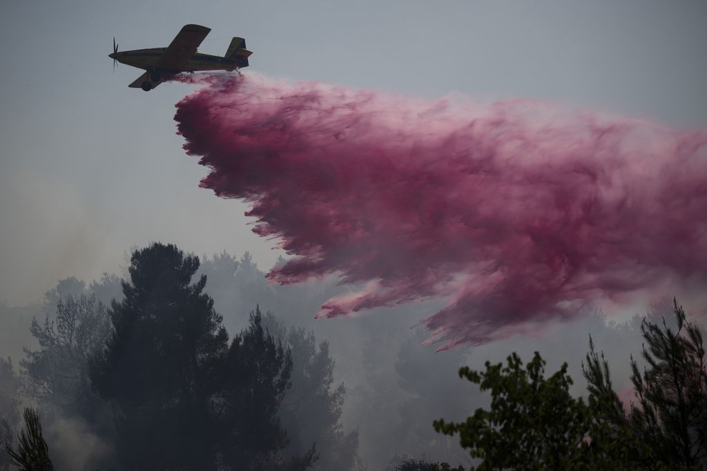 Sebuah pesawat menggunakan bahan penghambat api untuk memadamkan api di daerah dekat perbatasan Israel dengan Lebanon, di Safed, Israel utara, Rabu (12/6/2024). Puluhan roket ditembakkan dari Lebanon menuju Israel utara pada Rabu pagi, beberapa jam setelah Israel serangan udara menewaskan empat pejabat dari kelompok militan Hezbollah termasuk seorang komandan militer senior.