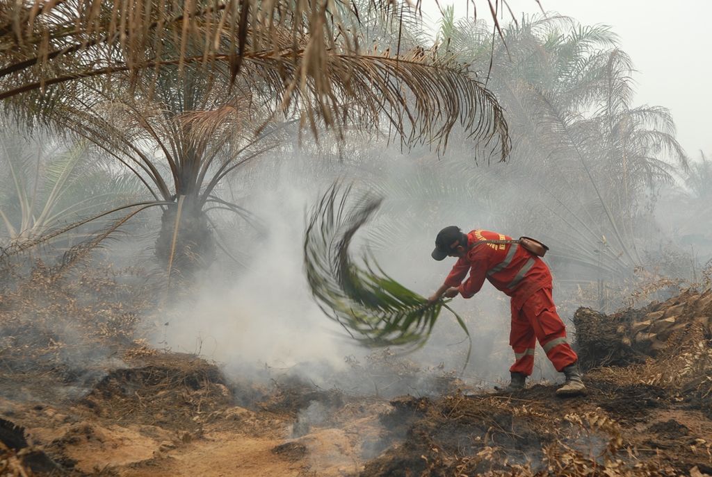 Petugas Manggala Agni Jambi berjuang mematikan bara yang masih menyala di balik permukaan gambut perkebunan sawit swasta di Desa Pematang Raman, Kumpeh, Kabupaten Muaro Jambi, Jumat (11/10/2019).