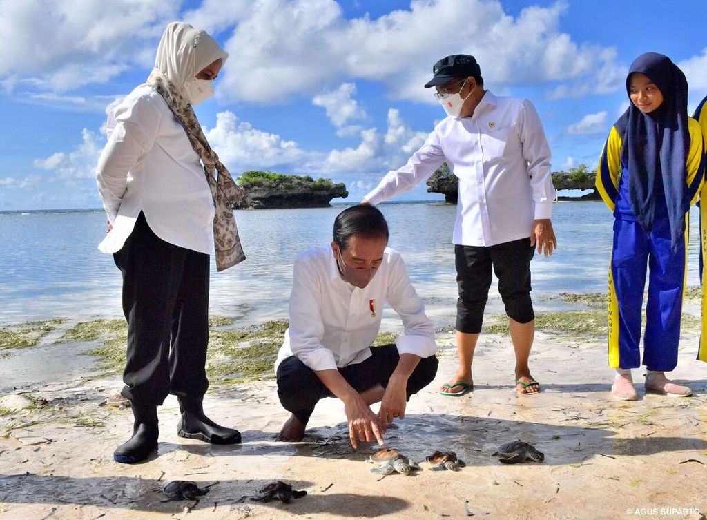 Presiden Joko Widodo dan Nyonya Iriana melepas tukik penyu di sekitar Patuno Resort, Kabupaten Wakatobi, Kamis (9/6/2022). 