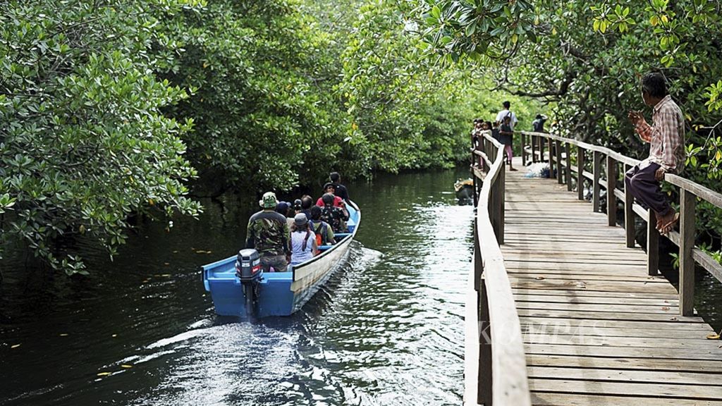 Pengunjung menikmati lanskap hutan mangrove di Desa Sampara, Kaledupa, Wakatobi, Sulawesi Tenggara, Sabtu (29/2/2020). Warga di Wakatobi berbenah menggalakkan pariwisata berbasis kearifan dan kelestarian lingkungan di tengah berbagai tantangan.