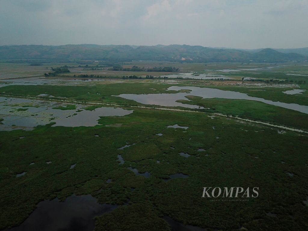 Lahan persawahan berubah menjadi area rawa-rawa akibat banjir di Kecamatan Sukolilo, Kabupaten Pati, Jawa Tengah, Kamis (16/3/2023). 